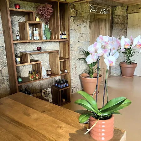 فندق Domaine Pozzo Di Mastri & فيغاري
