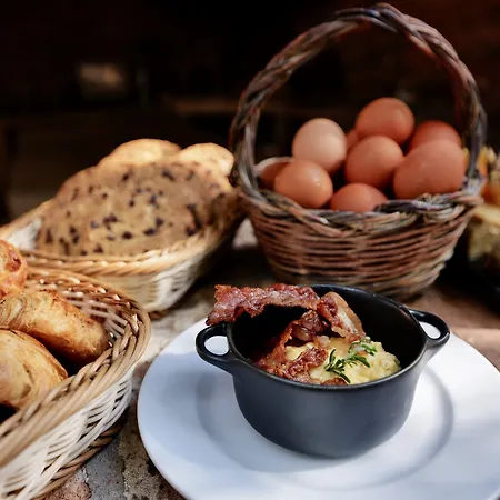 Domaine Pozzo Di Mastri & Figari (Corsica)