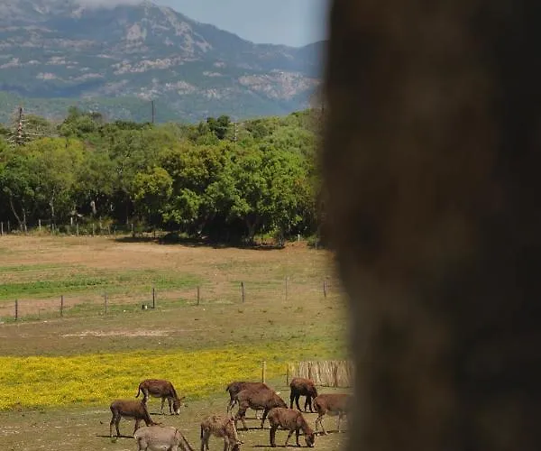 Hotel Domaine Pozzo Di Mastri Et 4*