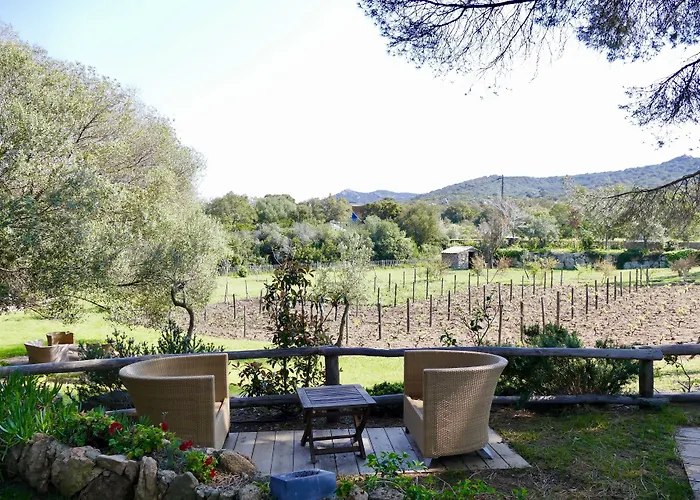 Domaine Pozzo Di Mastri Et