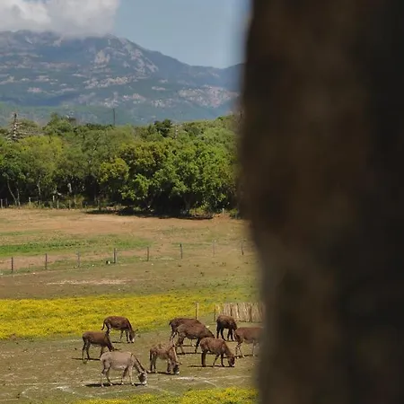 Szálloda Domaine Pozzo Di Mastri & 4*