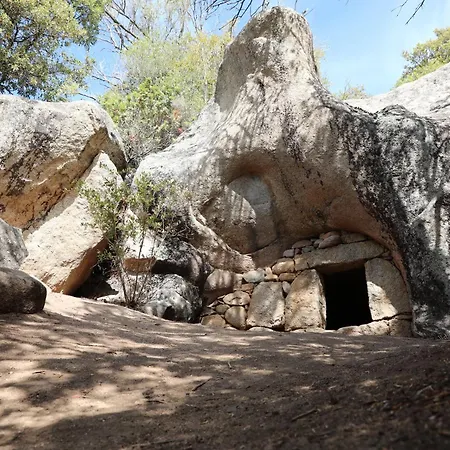 Domaine Pozzo Di Mastri & Figari (Corsica)
