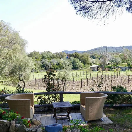 Domaine Pozzo Di Mastri Et