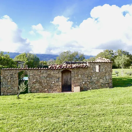 Domaine Pozzo Di Mastri Et Figari (Corsica)