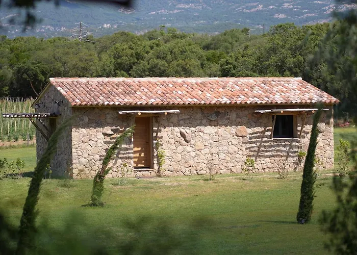 Domaine Pozzo Di Mastri & Hotel Figari (Corsica)