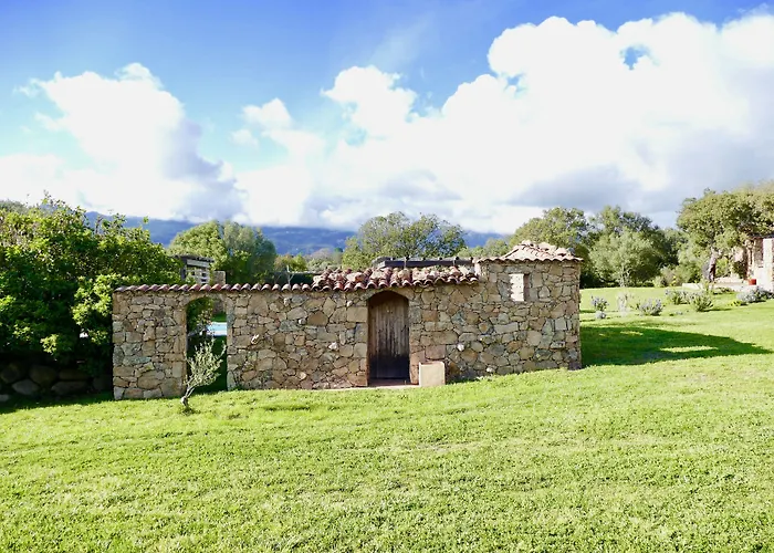 Domaine Pozzo Di Mastri & Figari (Corsica)